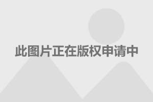 国家体育总级宝贝，璀璨明珠闪耀全球舞台