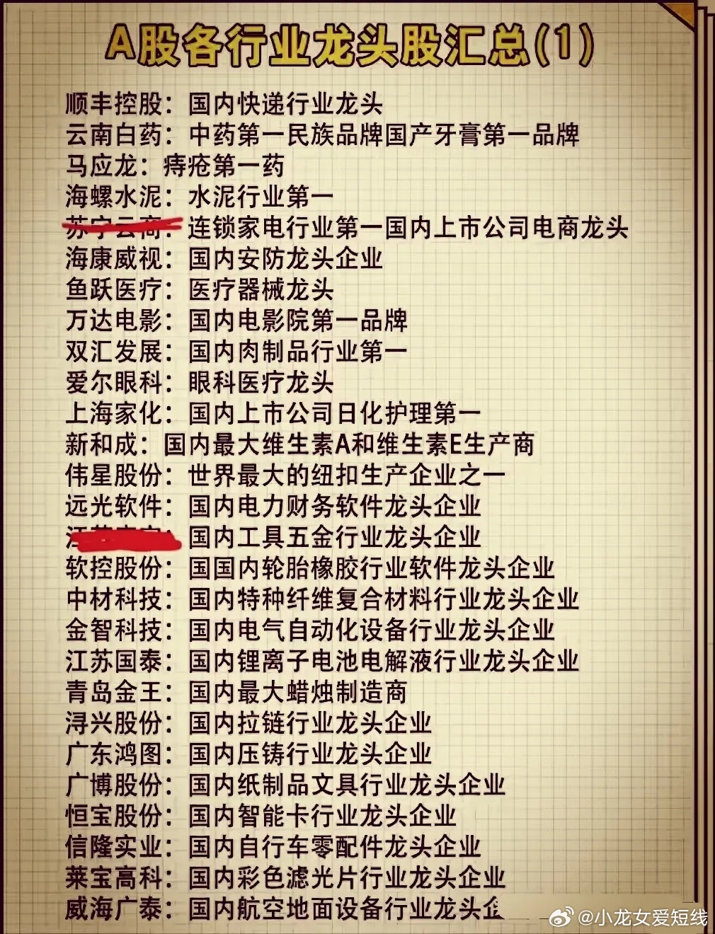 体育股票龙头解析，探寻行业巨头
