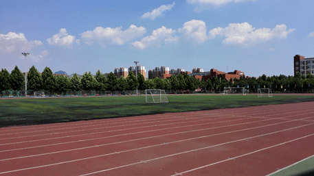 多少分考体育学校大学，录取门槛与机遇的探寻之路
