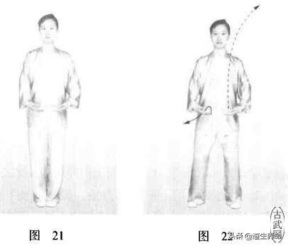 气功与体育的融合力量，实际应用与效果解析视频展示
