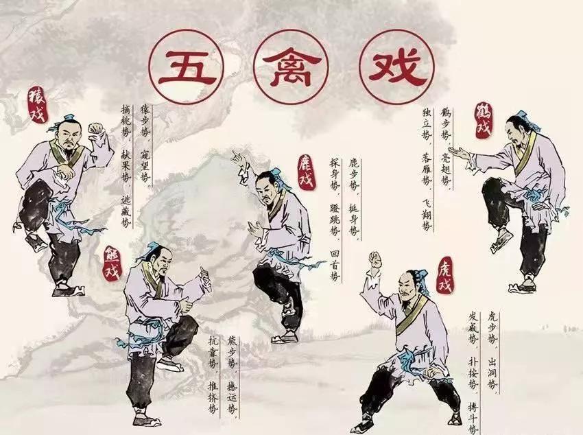 气功与体育，融合的力量——视频解析气功在体育中的实际应用与效果