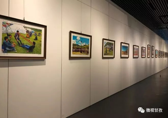 体育会展内容深度解析，展示项目、活动及亮点