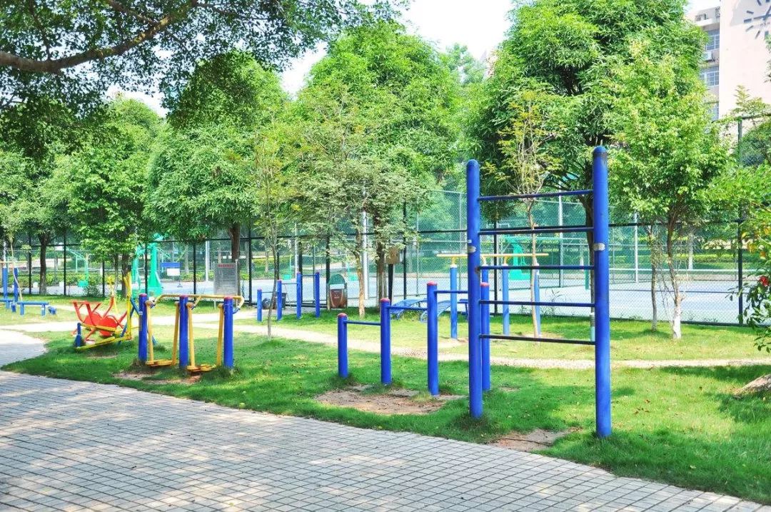 北山公园体育器材采购，提升运动体验，促进健康生活建设