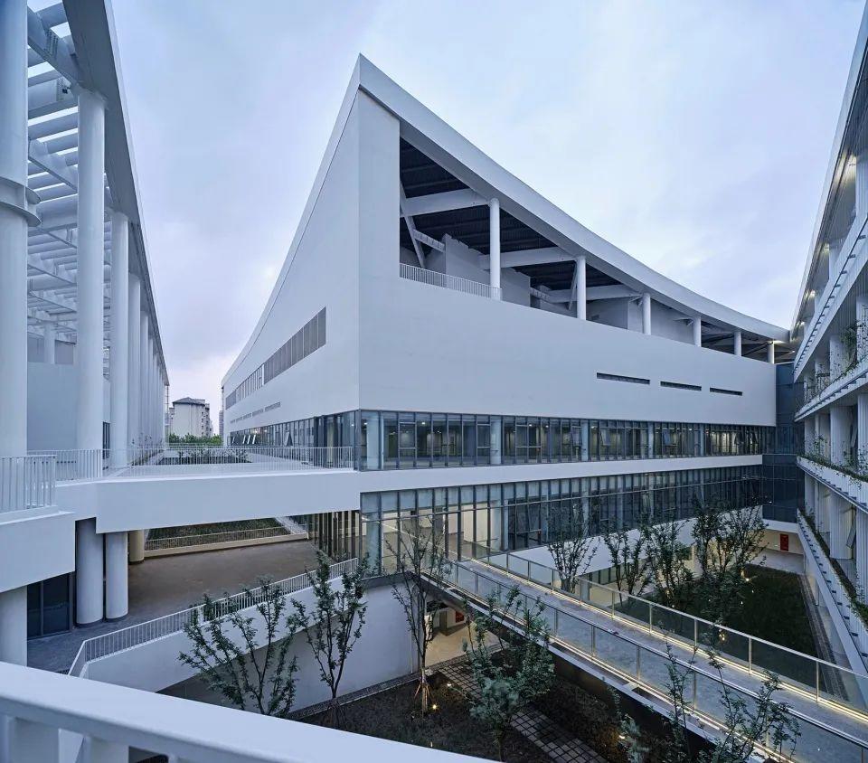 上海社区体育中心，城市活力与居民健康的融合之地，面积概览
