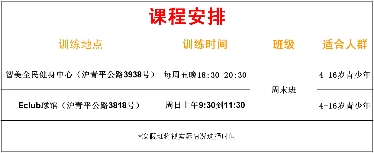 闵行暑假体育培训学费，深度解析与选择策略