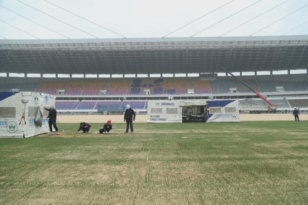 二八体育场，活力运动胜地