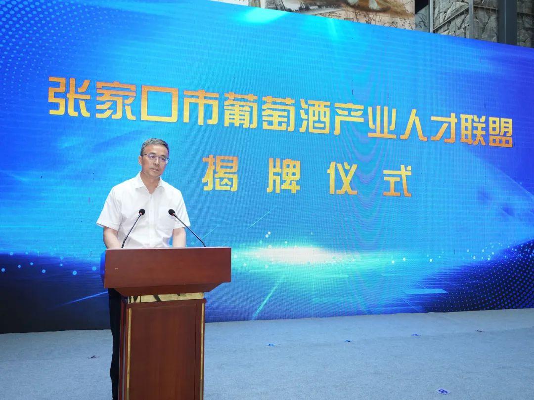 沙城文化公园体育，城市活力与文化的融合