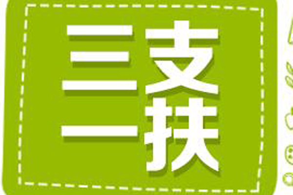 山东济宁中考体育政策分析与趋势探讨，是否考试及未来走向探讨
