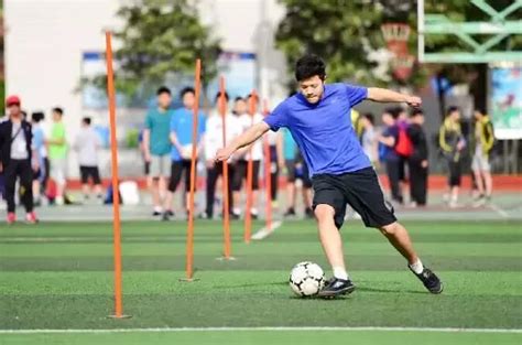 体育老师考试备考指南，策略与建议