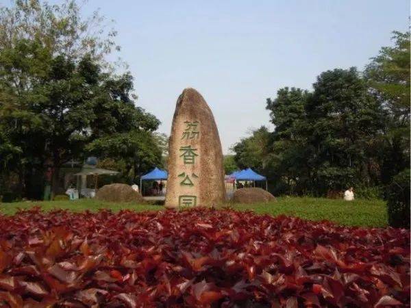 深圳体育中心公园，活力与自然的完美融合