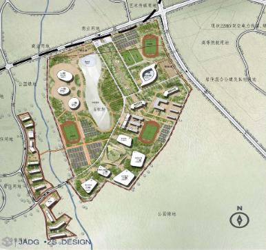 临河街体育学院老师，卓越教学成就培养之路