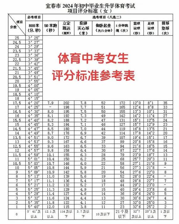 中考体育评分多维度评价体系深度解读与解析