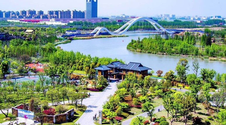 马塘桥体育公园的海棠花开