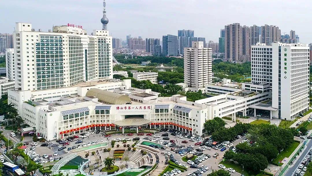 佛山市体育扶持资金，推动城市体育事业发展的强大引擎