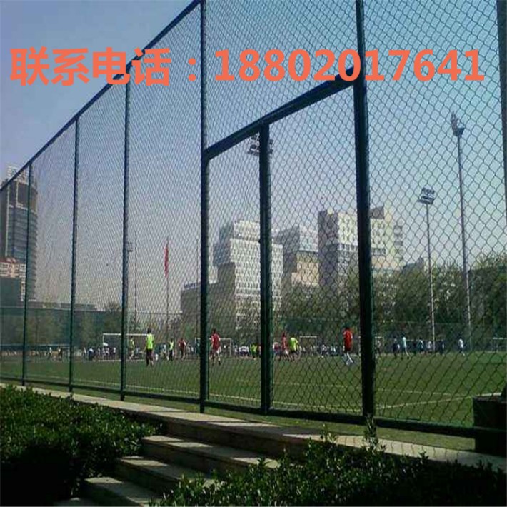 聊城体育场勾花网定制，专业打造运动场地的独特魅力