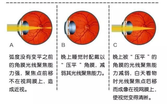 大学体育运动塑型与健康未来探讨