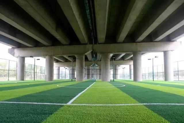 建德区中考体育价格标准及其影响