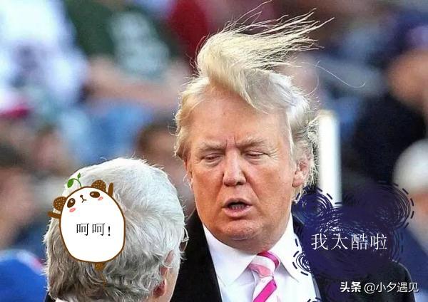 伊万与蓉城的深度思考，一个不可忽视的视角