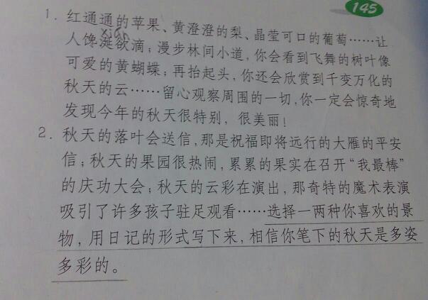 青春热血，秋日体育生的汗水与无悔岁月