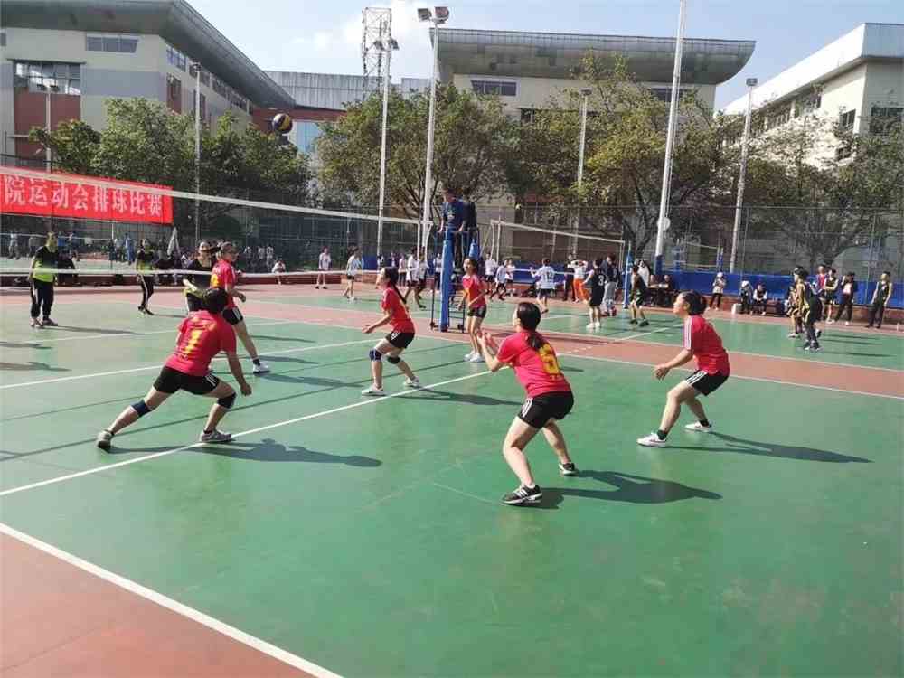 关于成都体育学校的探索与体验