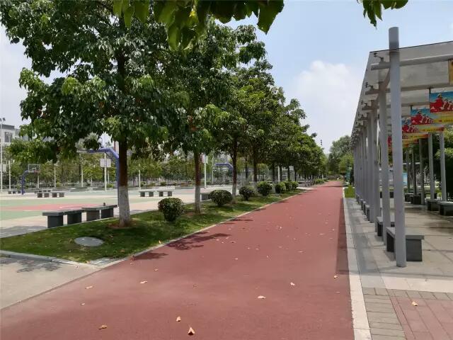 河源体育中考视频观看指南，一站式解决方案