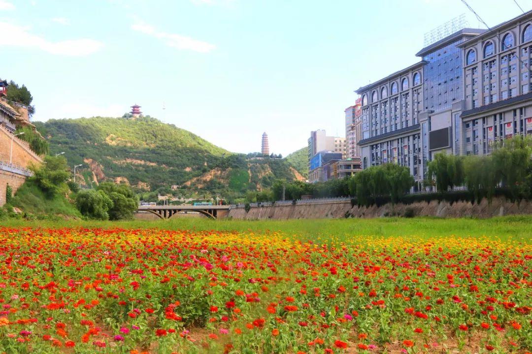 延安学校体育场，位置与独特魅力