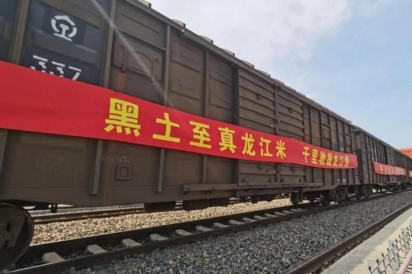 哈尔滨体育学院大米专业，培育精英，塑造未来体育之星