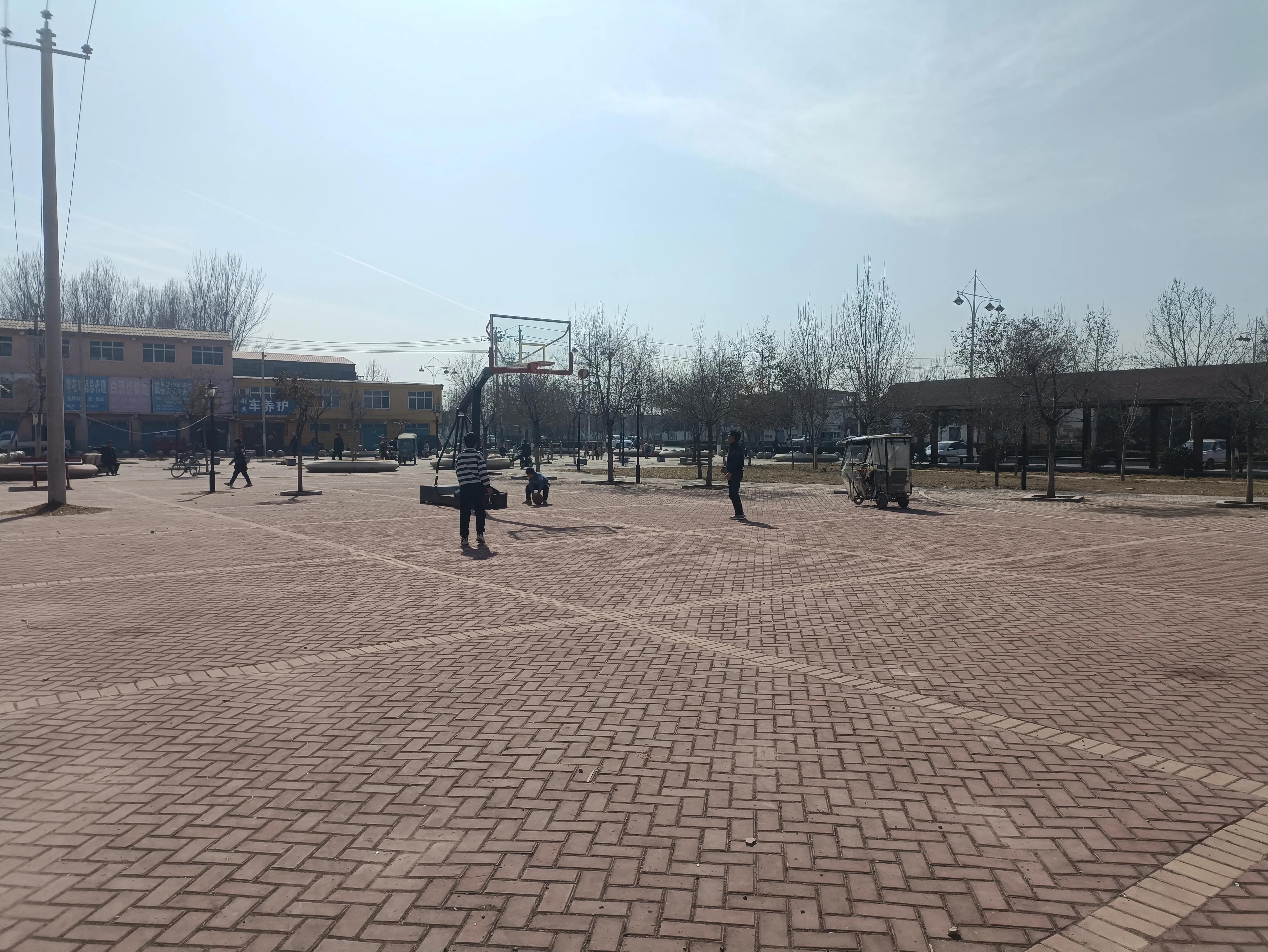 体育教师打卡记录表，构建高效教学与管理的桥梁