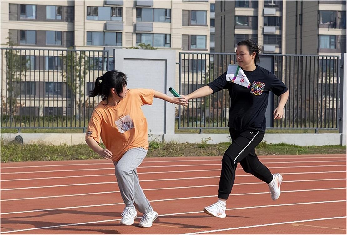 体育嘉年华，激情、友谊与成长的盛宴总结语