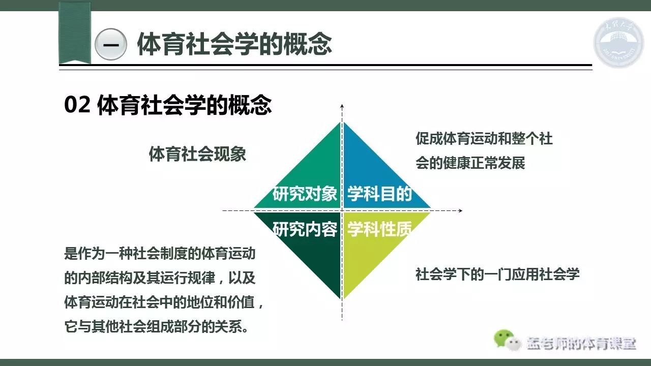 亚文化体育社会学，探索边缘与主流交融的体育现象