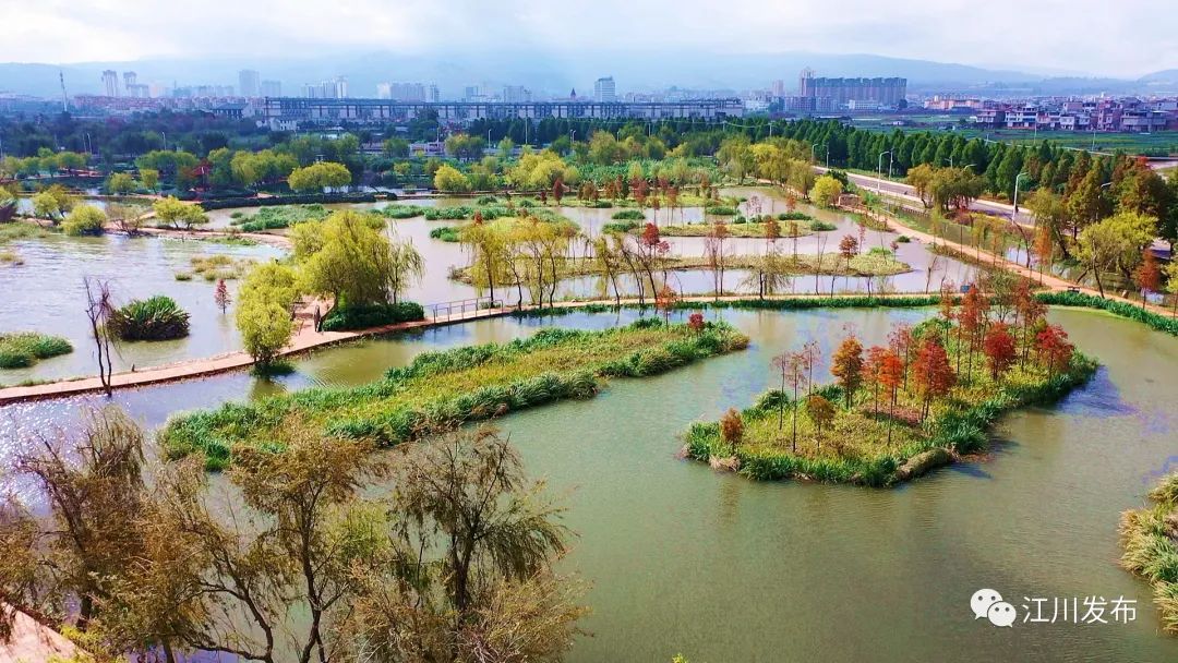 东川湿地公园体育设施，活力与自然的完美结合