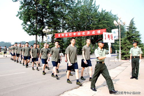 中考体育与报考军校，可能性与条件解析