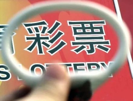 体育彩票暂停销售，原因、影响及未来展望
