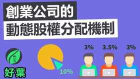体育公司的股权分配问题，挑战与策略