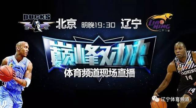 辽宁体育频道播出时间，全方位了解体育盛事