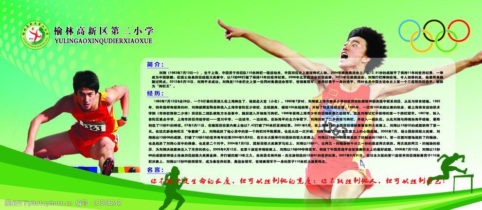 体育明星，闪耀的荣光