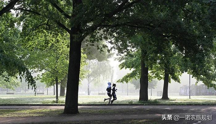 幼儿模仿体育项目图片，激发潜能，塑造未来之星