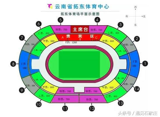 体育VIP如何选择心仪的球队
