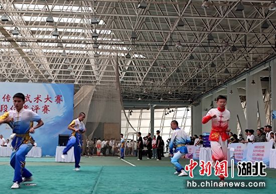 湖北体育新闻网，聚焦湖北体育，传递活力与激情