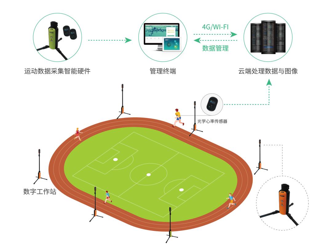 什么是体育发展的基础
