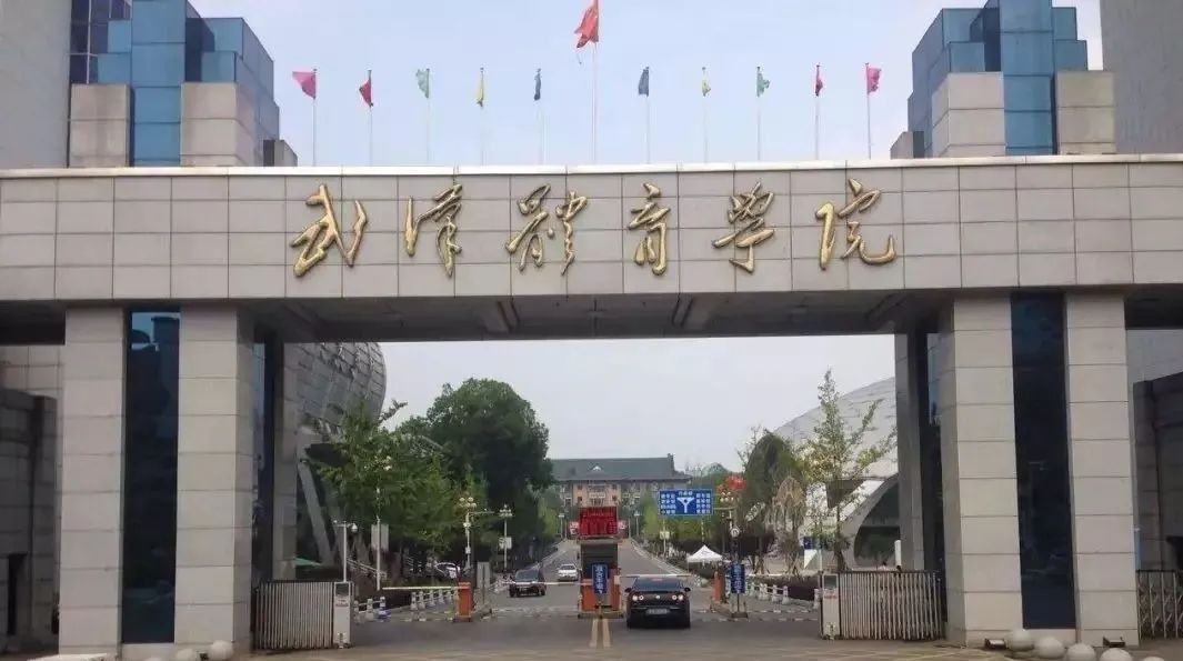 武汉体育学院杨梅个人简介