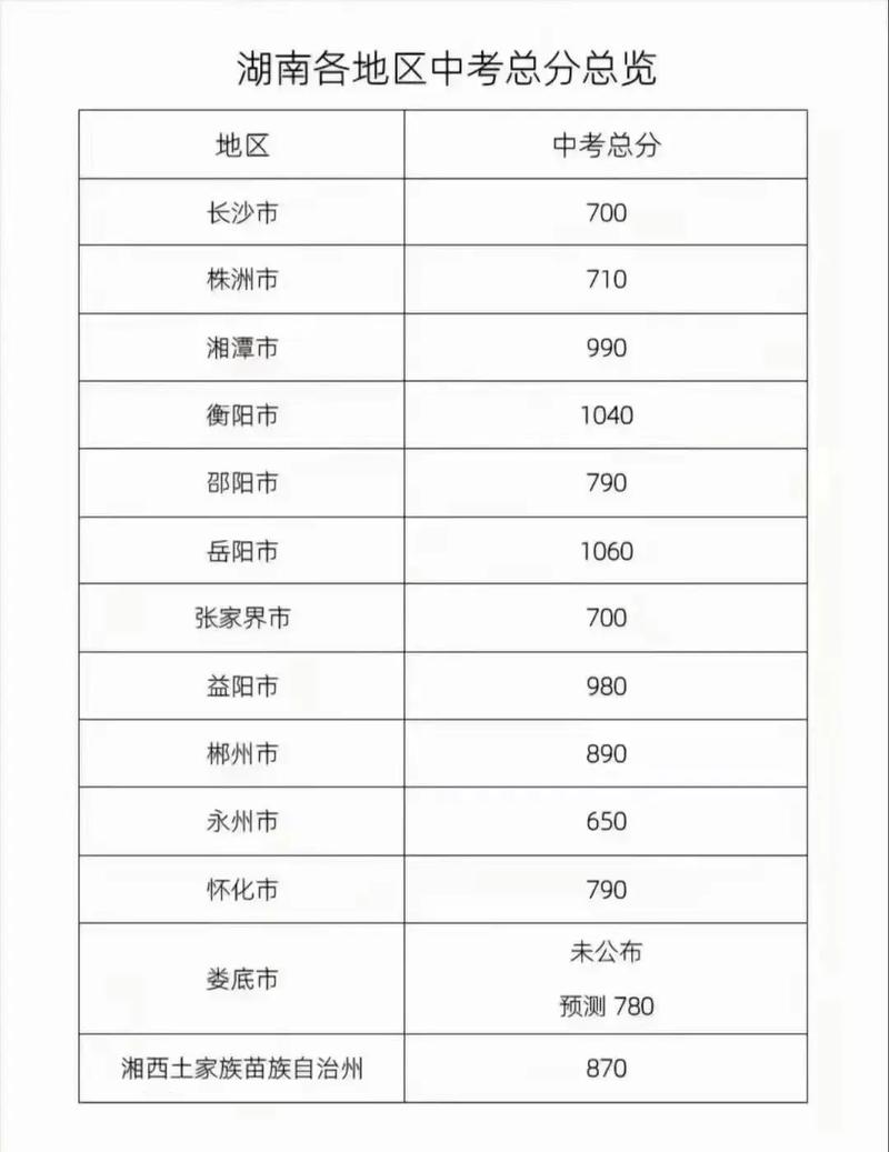 湖南初中体育总分多少，深入了解湖南省初中体育考试制度