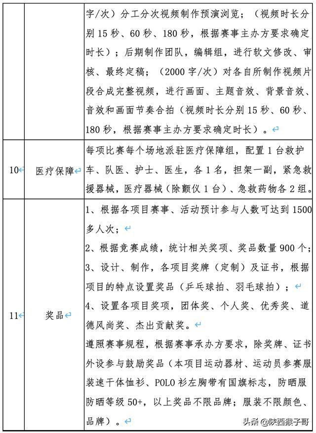 体育精英人才管理优化方案