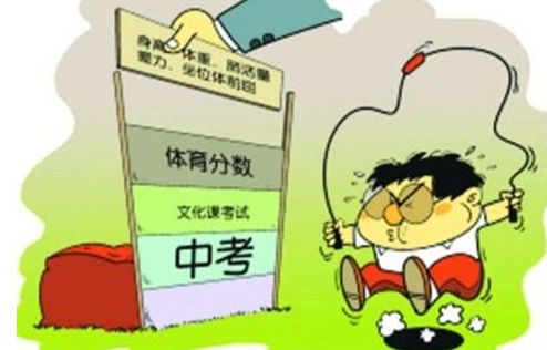 中考体育补考政策解析，理解、应对与前瞻