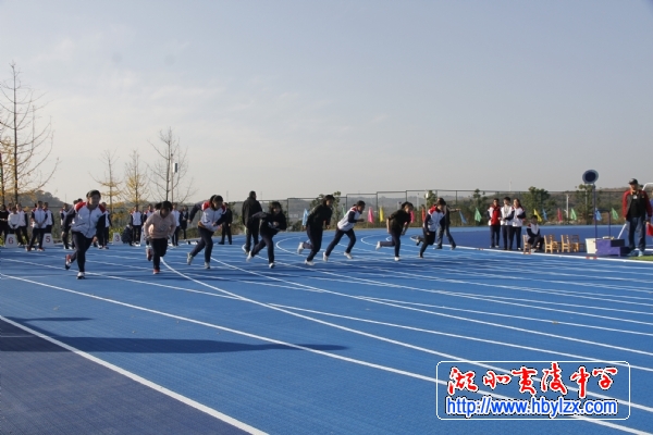 夷陵区中考体育时间解析及备考策略指南