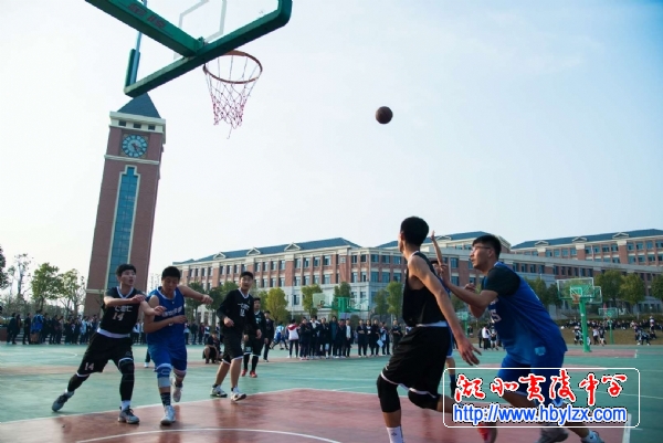 夷陵区中考体育时间解析与备考指南