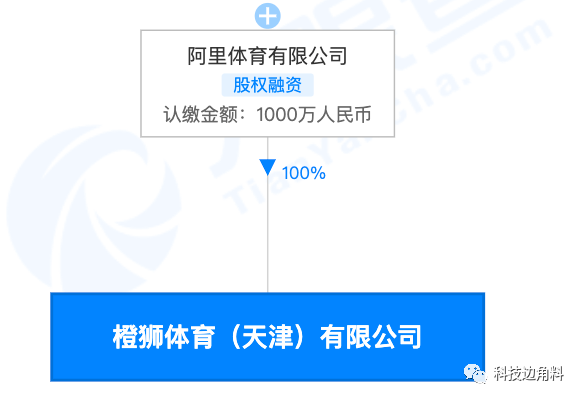 体育平台注册开户费用全解析