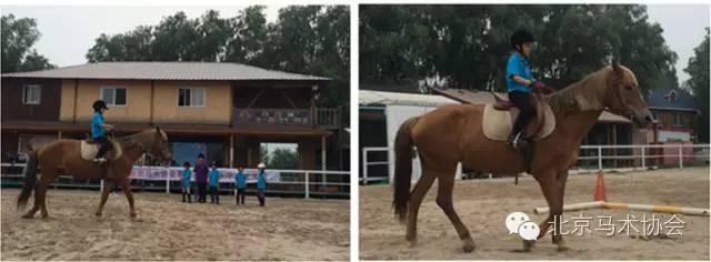 沈阳体育学院考级查询系统，便捷、高效的学生服务新体验