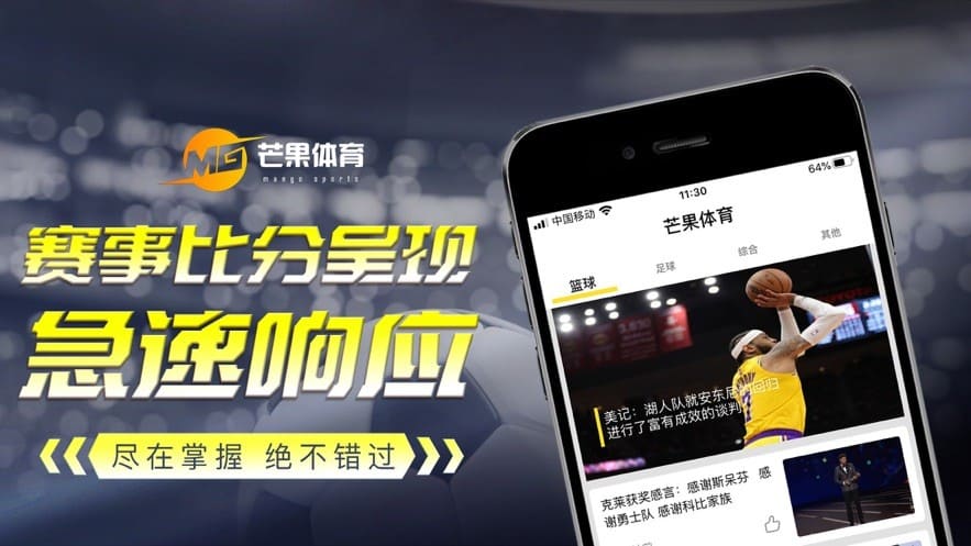体育外围平台类型及其特点