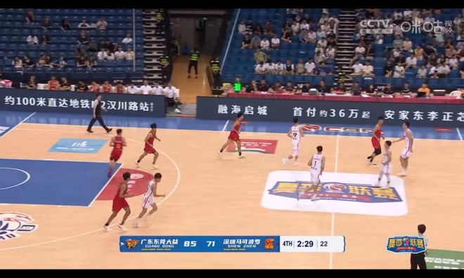 媒体视角，深圳队实力评估与阵容深度分析